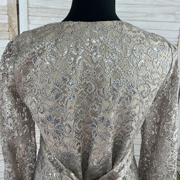 Corey Lynn Calter Anthropologie Metallic Lace Skater Mini Dress XS - Picture 9 of 13